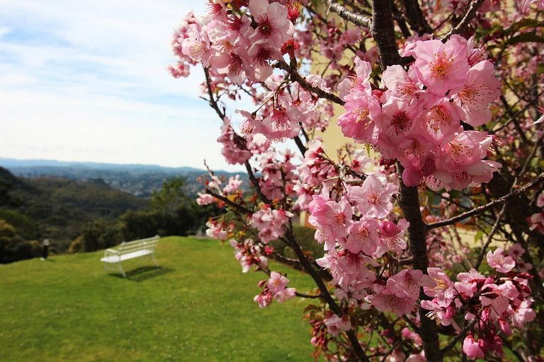 Apartamento Vista para as Montanhas
