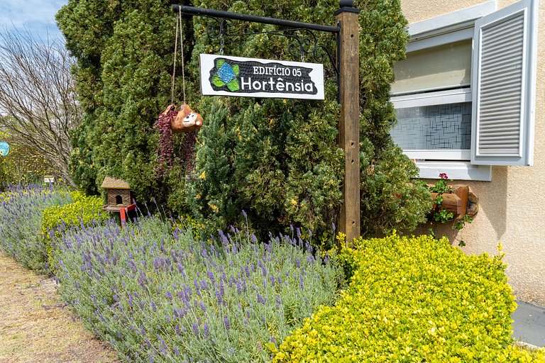 Apartamento Sobre as Nuvens 3