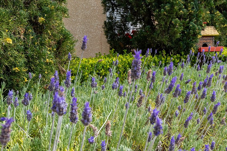 Apartamento Sobre as Nuvens 23 e 24 Familia