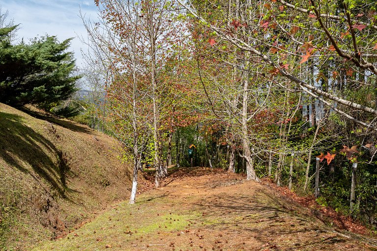 Apartamento Sobre as Nuvens 23